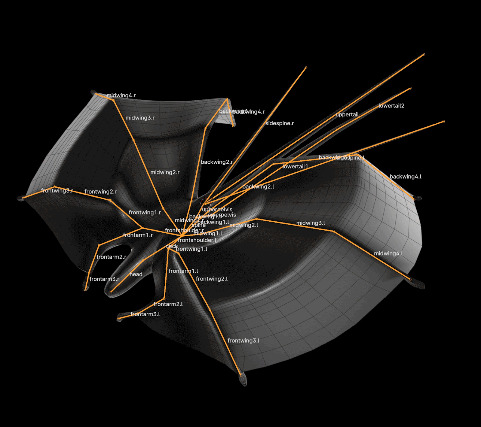 Section of the cyclical flight animation overlaid with the symmetrical animation rig.